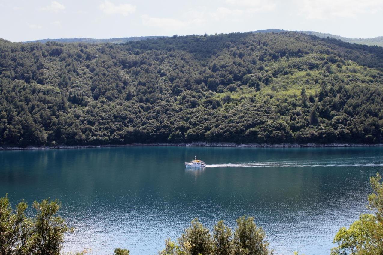 Apartments By The Sea Duga Luka - Prtlog, Labin - 3025 Zewnętrze zdjęcie